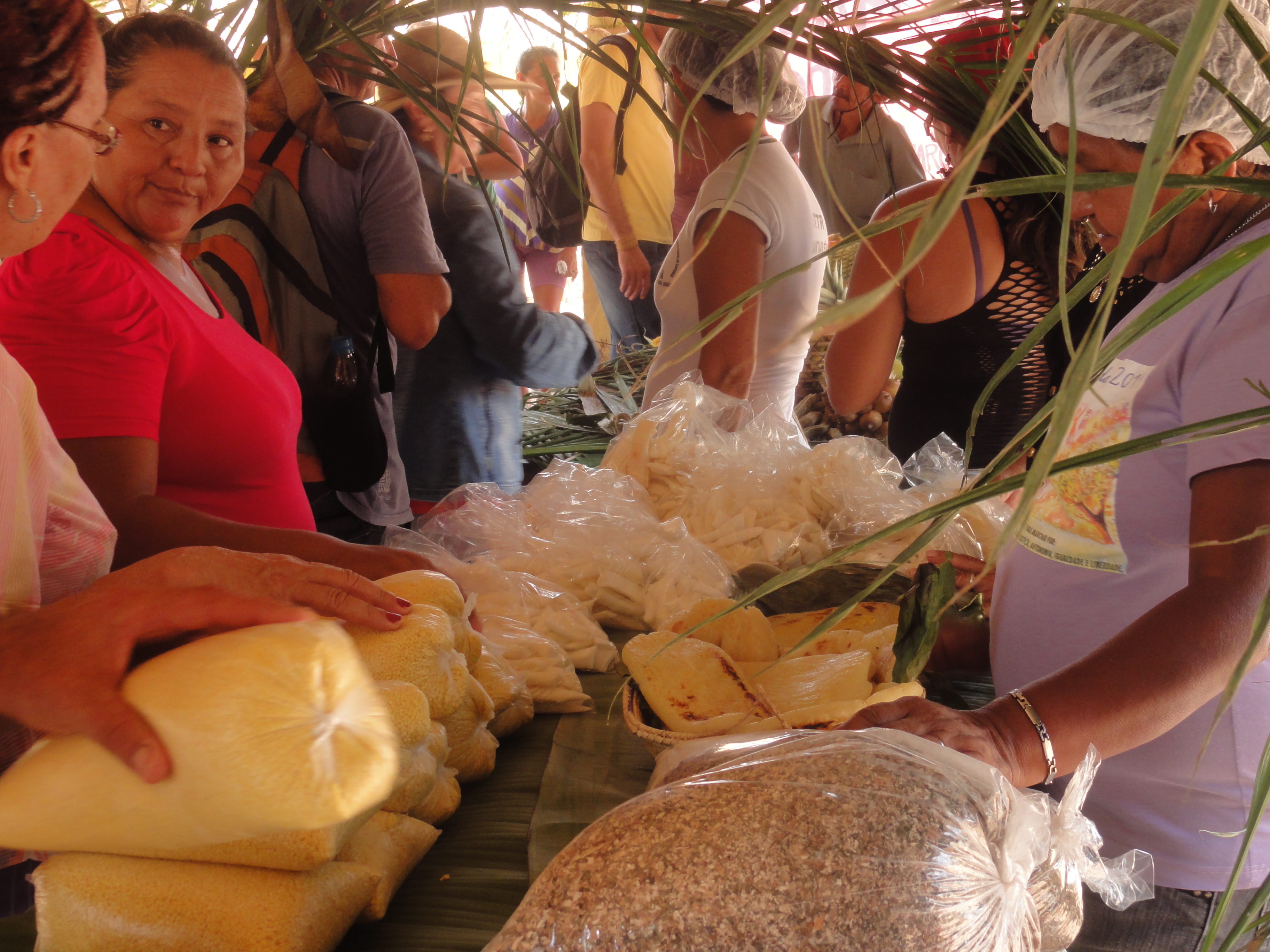 Comercialização de produtos agroecológicos em Santarém/PA (Foto: Arquivo FASE)
