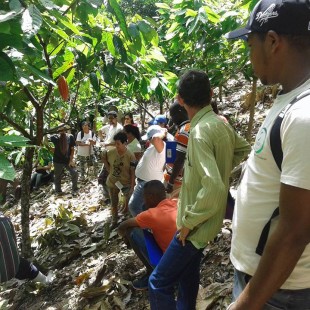 Visita às plantações de cacau. (Foto: Silvanei Barbosa)