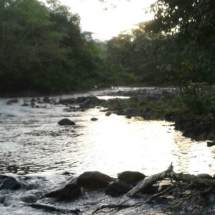 Margem do Rio Braço Leste, na comunidade Novo Horizonte