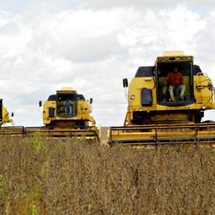 Colheita de soja em Mato Grosso. (Foto:Kleiber Arantes/ Secom)