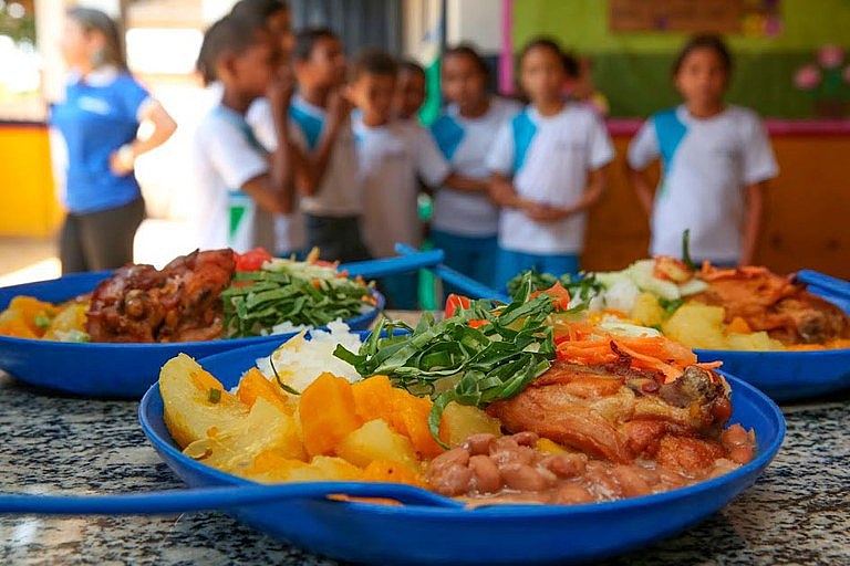 Artigo: Programa Nacional de Alimentação Escolar – inovações e desafios